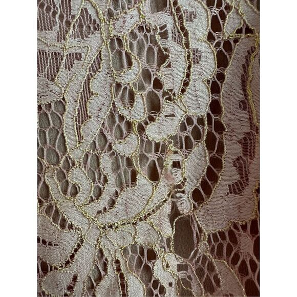 Dress the Population Long Sleeve Crochet Lace Dress in Champagne Peach Size S - Picture 4 of 5